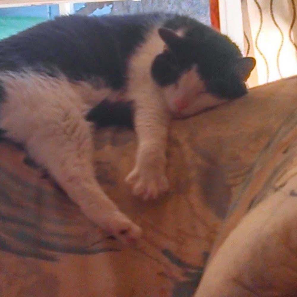 Meet your Posher, Sandy